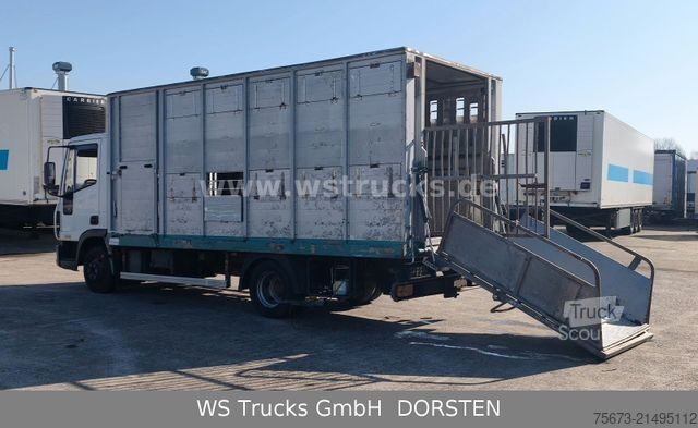 Transporteur de bétail IVECO ML 1Q Viehtransporter 1 Stock