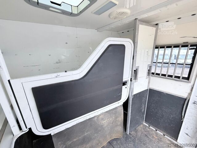 Paardentransportaanhanger  STX 3,5T  2 Pferd   Pferdeanh. Wohn. Dusche, WC
