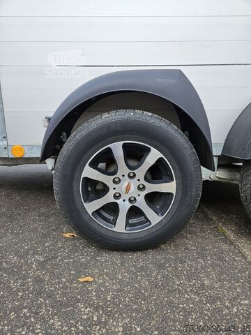 Zirgu piekabe Böckmann Big Champion R WCF