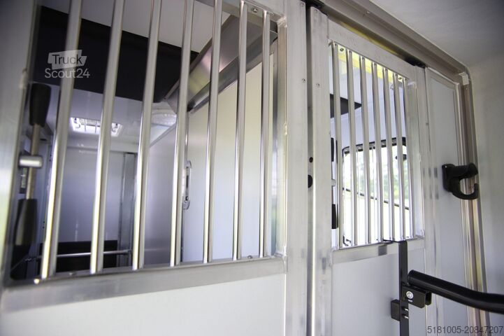Paardentransportaanhanger MTM Innovan trailer Pro-Safety stallion layout