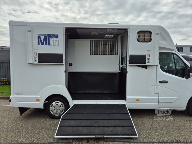 Pferdetransport Renault Master Occasion Renault Master MTM paardenwagen...