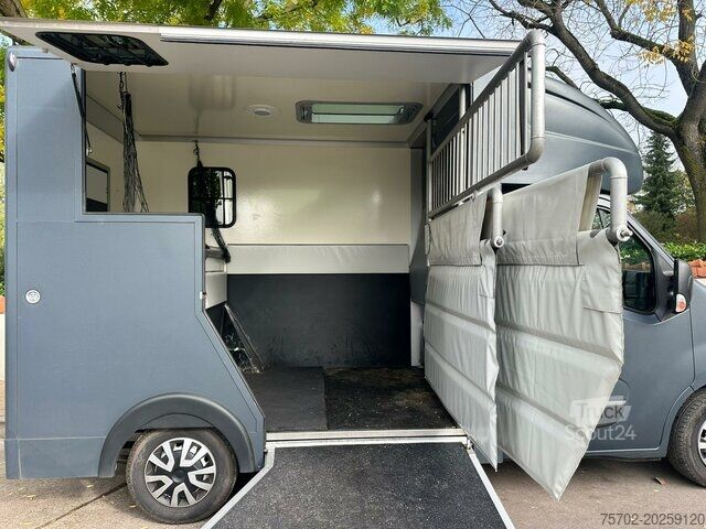 Viehtransporter Renault Master MSG Superlight 1-2 Pferde Automatik