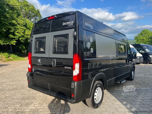 Kastenwagen Wohnmobil / Campervan  BRAVIA
