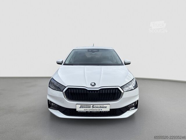 Minibus Skoda Fabia