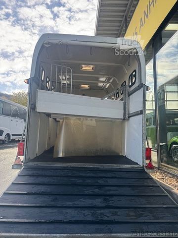 Remorcă pentru transport cai ATEC Starline XXL 3-Pferdeanhänger 3to. 1. Hand