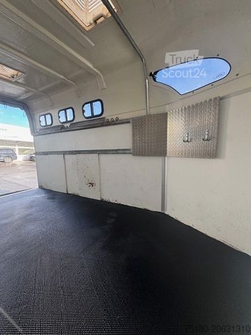 Remorcă pentru transport cai ATEC Starline XXL 3-Pferdeanhänger 3to. 1. Hand