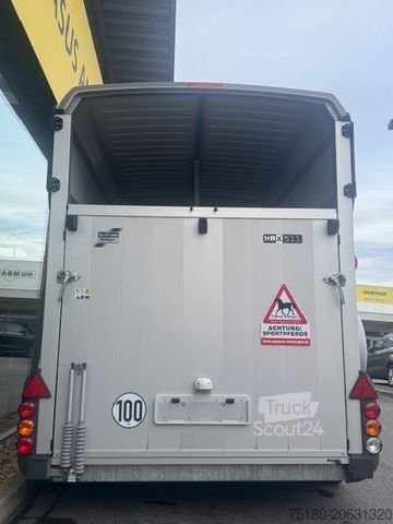 Remorcă pentru transport cai IFOR WILLIAMS HBX511 2-Pferdeanhänger Vollalu 2,7t DS-Klappe