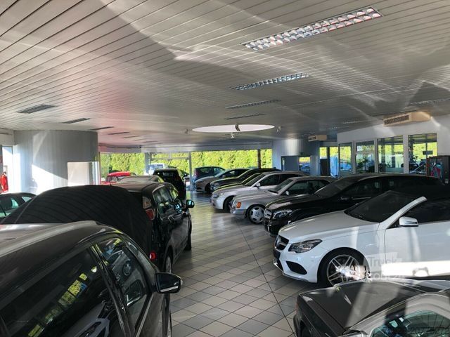 Tekerlekli yükleyici KRAMER 5065 Radlader *Gabel*