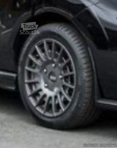 Kastenwagen Ford Transit custom MSRT