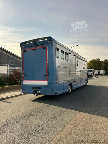 Paarden transport Iveco Eurocargo Occasion paardevrachtwagen voor 5 paa...