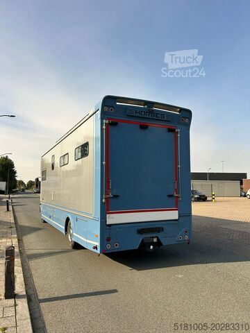 Paarden transport Iveco Eurocargo Occasion paardevrachtwagen voor 5 paa...