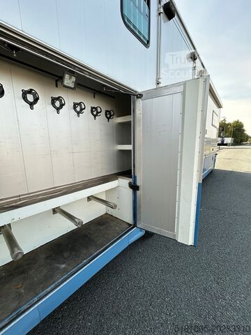 Paarden transport Iveco Eurocargo Occasion paardevrachtwagen voor 5 paa...