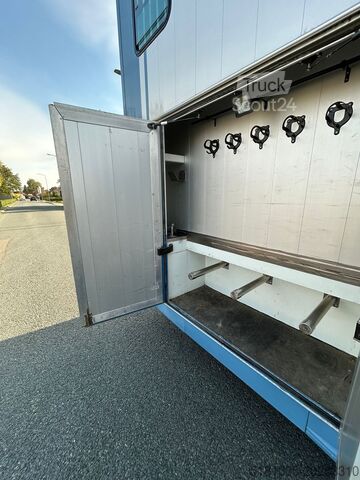 Paarden transport Iveco Eurocargo Occasion paardevrachtwagen voor 5 paa...