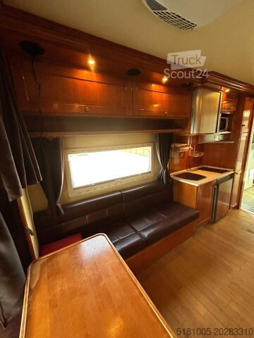 Paarden transport Iveco Eurocargo Occasion paardevrachtwagen voor 5 paa...