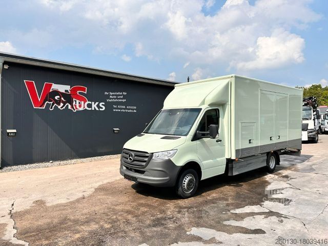 Car carrier van MERCEDES-BENZ Sprinter 519 CDI CAZOO Sportwagentransporter