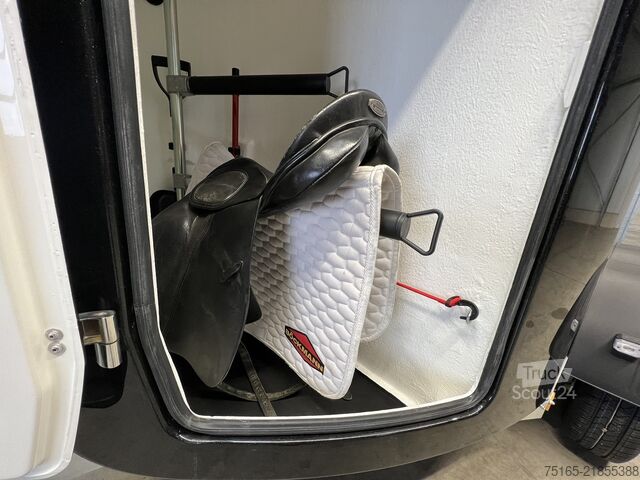 Hästtransportsläp Böckmann Comfort Neu ALF Pferdeanhänger