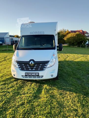 Viehtransporter Renault Master Pferdetransporter Nuyts