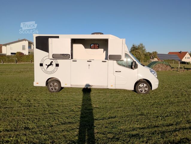 Viehtransporter Renault Master Pferdetransporter Nuyts