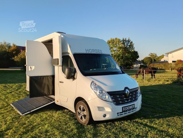 Viehtransporter Renault Master Pferdetransporter Nuyts