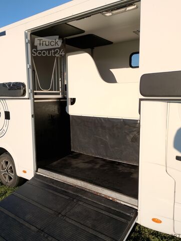 Viehtransporter Renault Master Pferdetransporter Nuyts