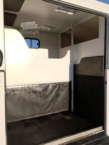 Viehtransporter Renault Master Pferdetransporter Nuyts