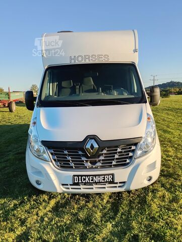 Viehtransporter Renault Master Pferdetransporter Nuyts