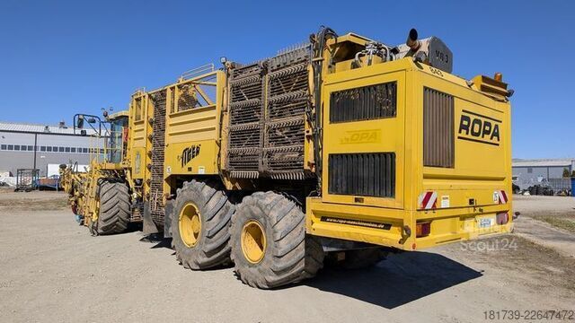 Sklízecí stroj na řepu Ropa TIGER V8-3 beet harvester / 6000 MTH