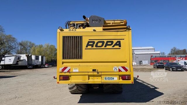 Sklízecí stroj na řepu Ropa TIGER V8-3 beet harvester / 6000 MTH