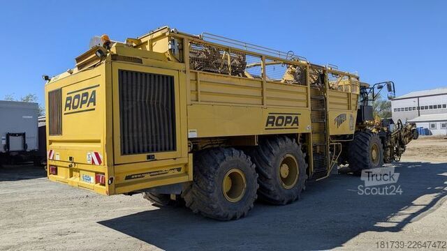 Sklízecí stroj na řepu Ropa TIGER V8-3 beet harvester / 6000 MTH