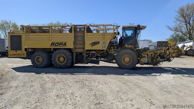 Sklízecí stroj na řepu Ropa TIGER V8-3 beet harvester / 6000 MTH