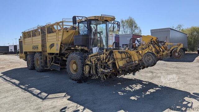 Sklízecí stroj na řepu Ropa TIGER V8-3 beet harvester / 6000 MTH
