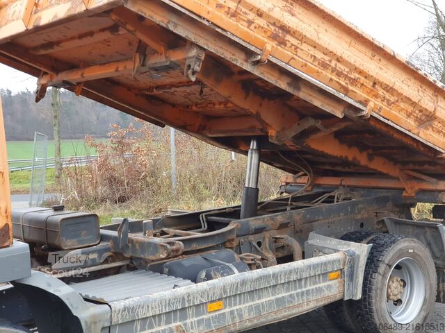 Marigold Marigold Marigold