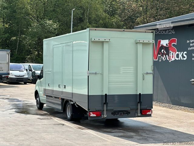 Car carrier van MERCEDES-BENZ Sprinter 519 CDI CAZOO Sportwagentransporter