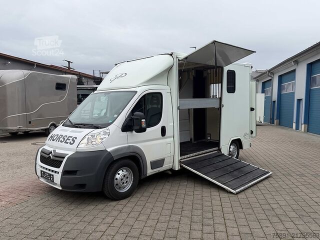 μεταφορέας ζώων Citroën Jumper 2 Seitenrampen Pferdetransporter