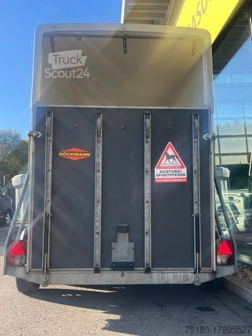 Remorque de transport de chevaux BÖCKMANN Duo 2 Pferdeanhänger  2t. Holz/Poly