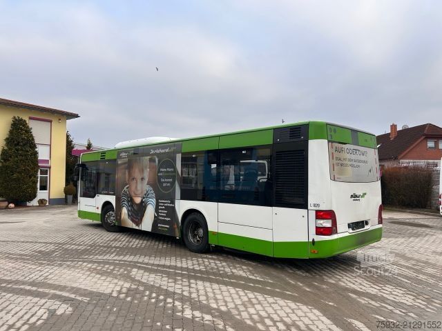 Autobus urbain MAN A 47 Lion#s City M Midi Klima