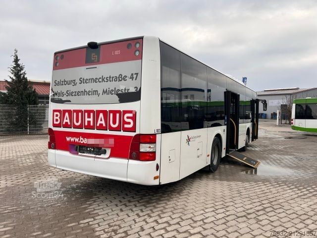 Autobus urbain MAN A47 Lion's City M NL 293 MIDI model 2018  TOP