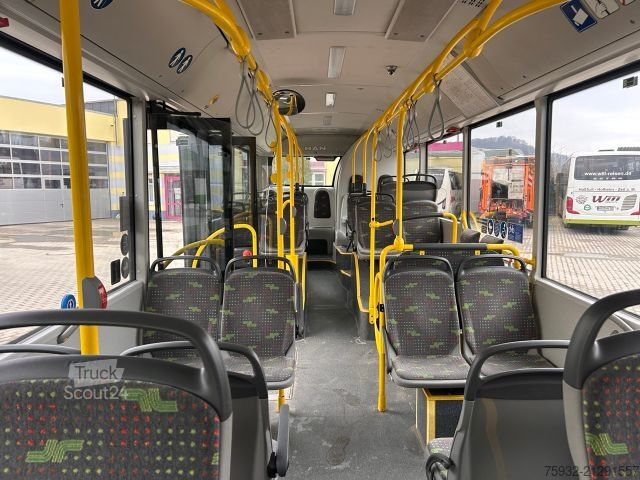 Autobus urbain MAN A47 Lion's City M NL 293 MIDI model 2018  TOP