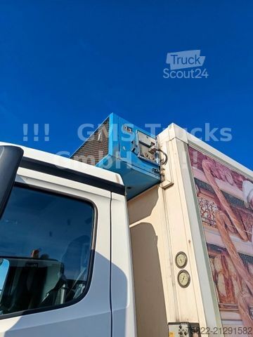 Hladilni tovornjak MERCEDES-BENZ Antos 2543 / Frigo Cool / Load 14,3ton