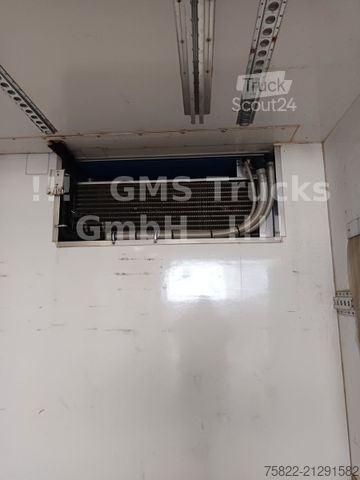 Hladilni tovornjak MERCEDES-BENZ Antos 2543 / Frigo Cool / Load 14,3ton