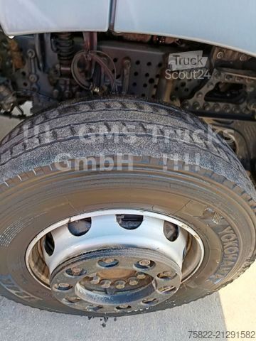 Hladilni tovornjak MERCEDES-BENZ Antos 2543 / Frigo Cool / Load 14,3ton