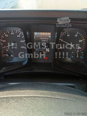 Hladilni tovornjak MERCEDES-BENZ Antos 2543 / Frigo Cool / Load 14,3ton