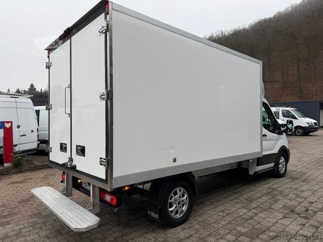Furgão frigorífico FORD Transit Tief-Kühlkoffer -19°C 2-Zonen Kühlung