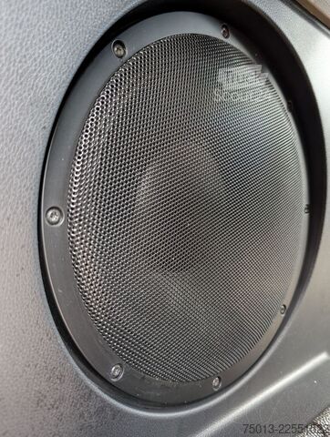Trattore stradale volumetrico MAN TGX 18.520 LL SA Mega, "LONEWOLF"