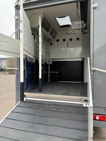 Μεταφορέας ζώων MERCEDES-BENZ FUSO 8 180  TT-S 1-3 Pferde Pop-Out, Neufahrzeug