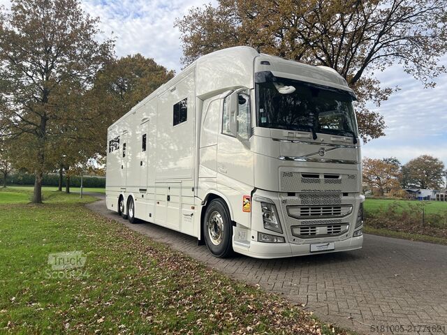 Žirgų transportas Volvo FH Occasion paardenvrachtwagen Roelofsen specia...