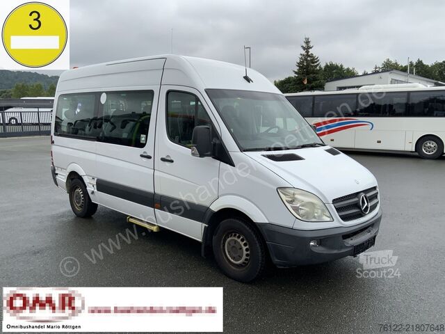 نقل الركاب Mercedes-Benz Sprinter 315 CDI