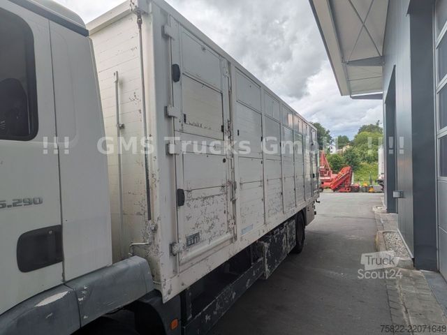 Вантажівка для перевезення худоби MAN TGM 15.290 / Menke / load 7750kg / E5