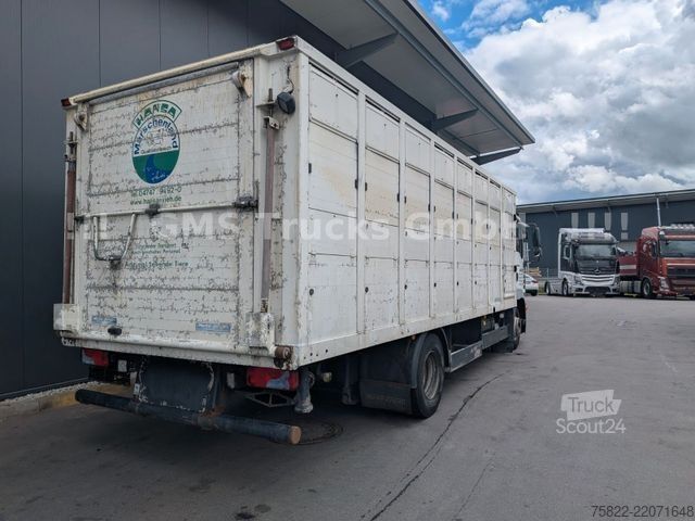 Вантажівка для перевезення худоби MAN TGM 15.290 / Menke / load 7750kg / E5