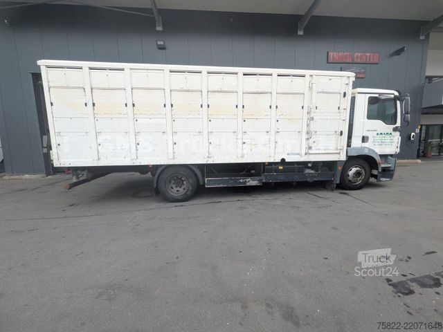 Вантажівка для перевезення худоби MAN TGM 15.290 / Menke / load 7750kg / E5